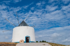 DSC7486