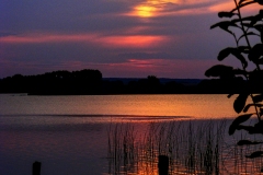 DSCF0118