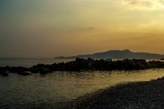 R0011021
