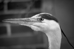 DSC0312-inst
